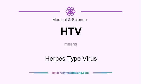 What does HTV mean? It stands for Herpes Type Virus