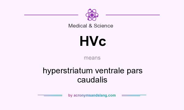 What does HVc mean? It stands for hyperstriatum ventrale pars caudalis