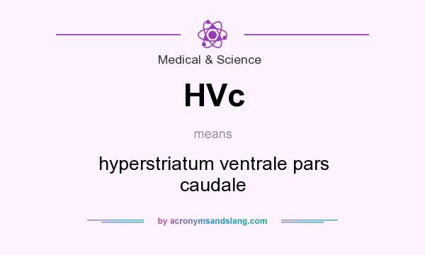 What does HVc mean? It stands for hyperstriatum ventrale pars caudale