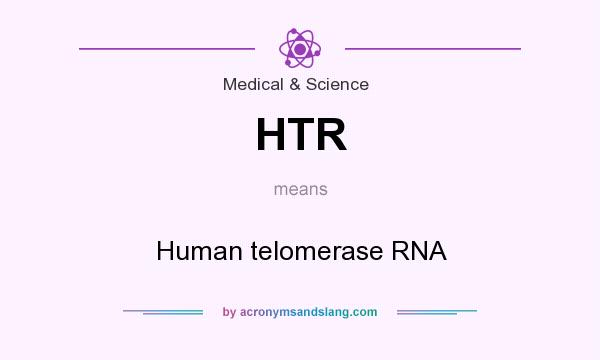 What does HTR mean? It stands for Human telomerase RNA
