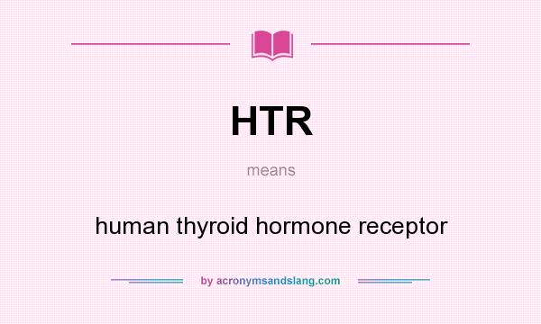What does HTR mean? It stands for human thyroid hormone receptor