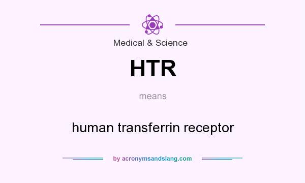 What does HTR mean? It stands for human transferrin receptor