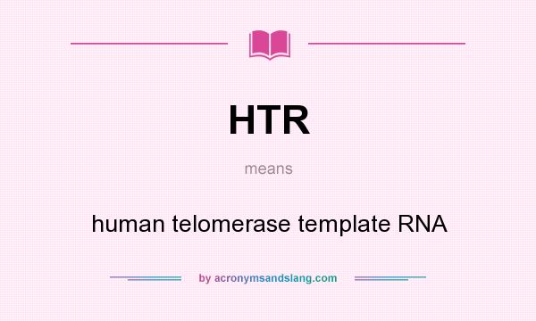 What does HTR mean? It stands for human telomerase template RNA