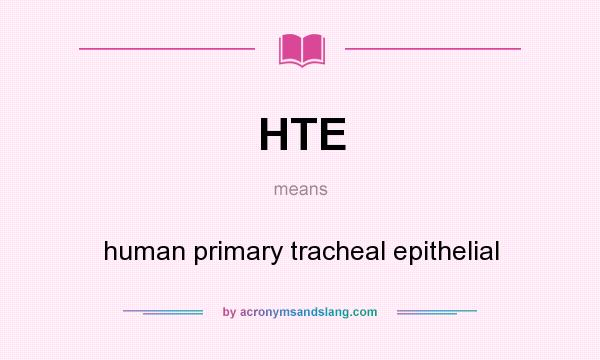 What does HTE mean? It stands for human primary tracheal epithelial