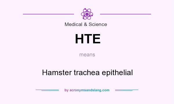 What does HTE mean? It stands for Hamster trachea epithelial