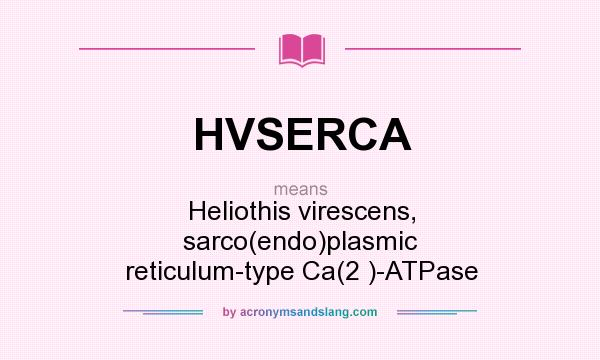 What does HVSERCA mean? It stands for Heliothis virescens, sarco(endo)plasmic reticulum-type Ca(2 )-ATPase
