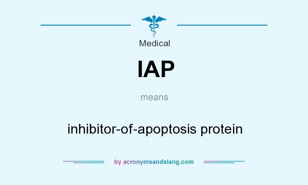 What does IAP mean? It stands for inhibitor-of-apoptosis protein