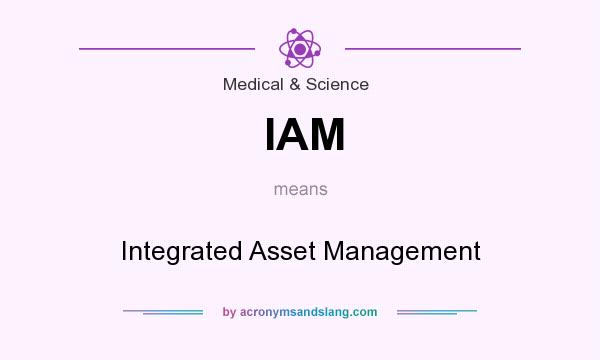 What does IAM mean? It stands for Integrated Asset Management