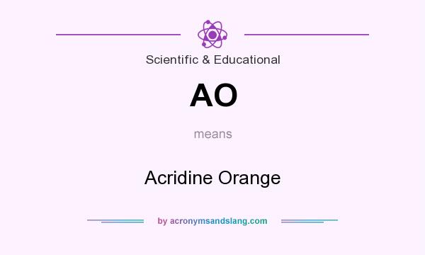 What does AO mean? It stands for Acridine Orange
