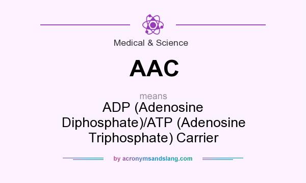 What does AAC mean? It stands for ADP (Adenosine Diphosphate)/ATP (Adenosine Triphosphate) Carrier