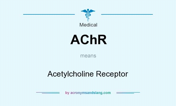 What does AChR mean? It stands for Acetylcholine Receptor