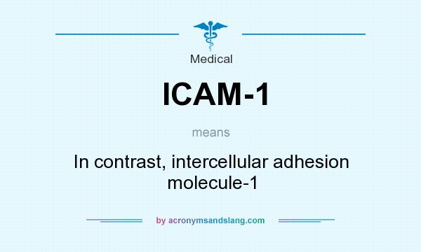What does ICAM-1 mean? It stands for In contrast, intercellular adhesion molecule-1