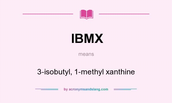 What does IBMX mean? It stands for 3-isobutyl, 1-methyl xanthine