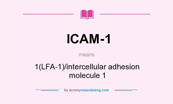 What does ICAM-1 mean? It stands for 1(LFA-1)/intercellular adhesion molecule 1