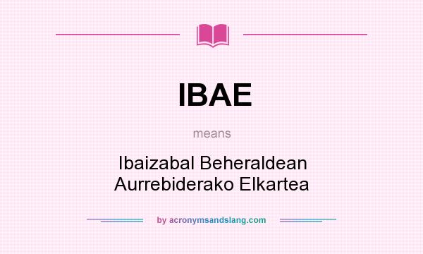 What does IBAE mean? It stands for Ibaizabal Beheraldean Aurrebiderako Elkartea