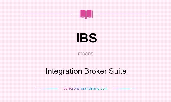 What does IBS mean? It stands for Integration Broker Suite