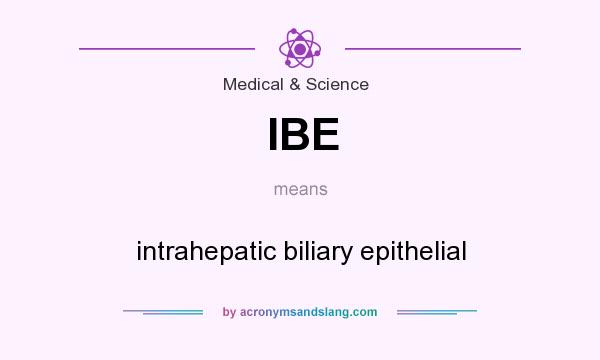 What does IBE mean? It stands for intrahepatic biliary epithelial