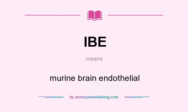 What does IBE mean? It stands for murine brain endothelial