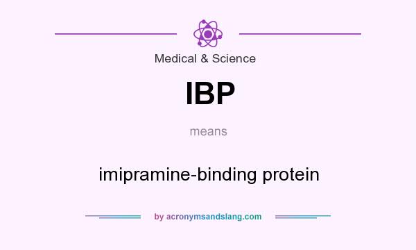 What does IBP mean? It stands for imipramine-binding protein