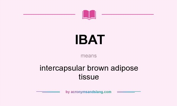 What does IBAT mean? It stands for intercapsular brown adipose tissue
