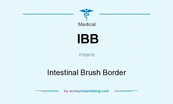 What does IBB mean? It stands for Intestinal Brush Border