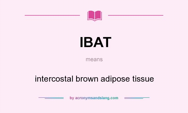What does IBAT mean? It stands for intercostal brown adipose tissue