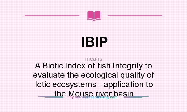 What does IBIP mean? It stands for A Biotic Index of fish Integrity to evaluate the ecological quality of lotic ecosystems - application to the Meuse river basin