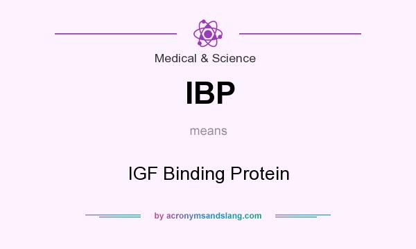 What does IBP mean? It stands for IGF Binding Protein