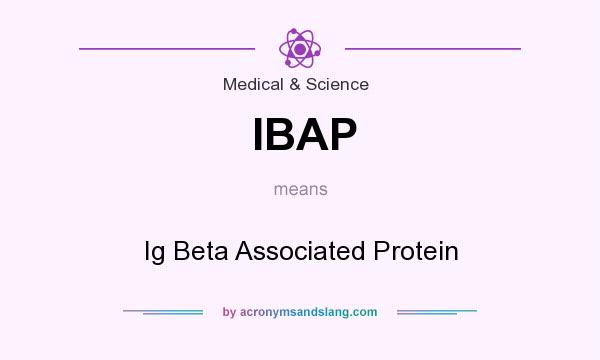 What does IBAP mean? It stands for Ig Beta Associated Protein