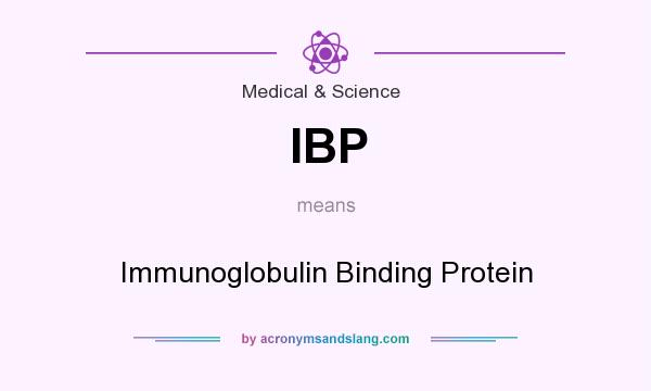 What does IBP mean? It stands for Immunoglobulin Binding Protein