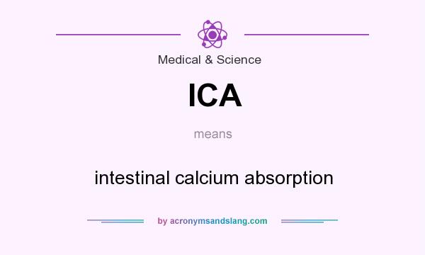 What does ICA mean? It stands for intestinal calcium absorption