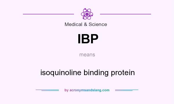 What does IBP mean? It stands for isoquinoline binding protein