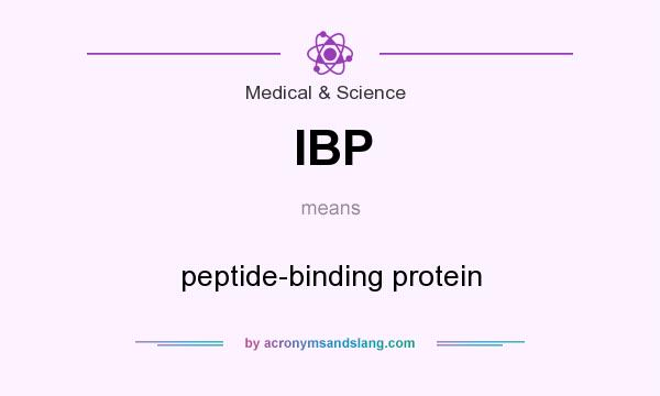What does IBP mean? It stands for peptide-binding protein