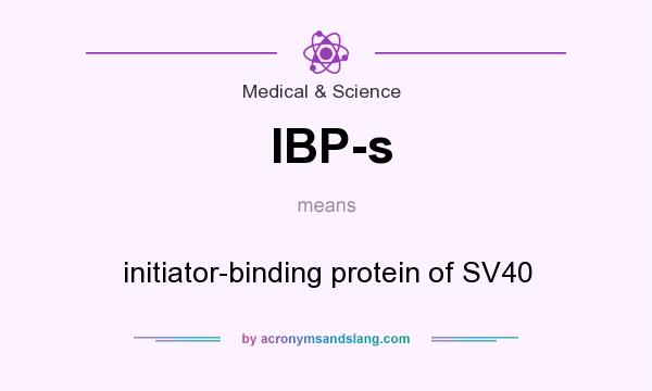 What does IBP-s mean? It stands for initiator-binding protein of SV40