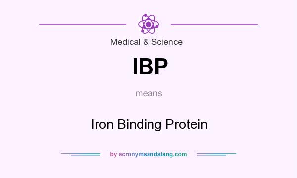 What does IBP mean? It stands for Iron Binding Protein