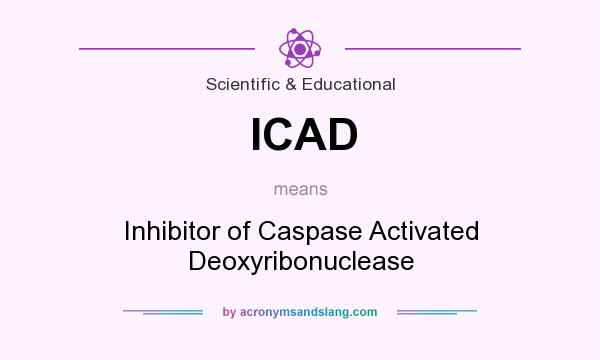 What does ICAD mean? It stands for Inhibitor of Caspase Activated Deoxyribonuclease