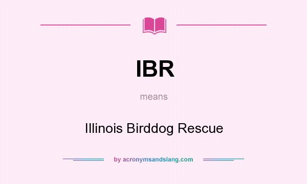 What does IBR mean? It stands for Illinois Birddog Rescue