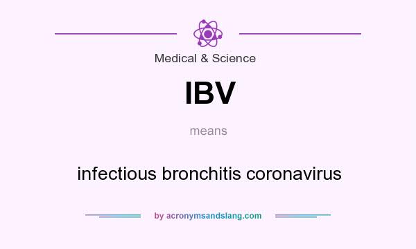 What does IBV mean? It stands for infectious bronchitis coronavirus