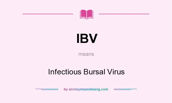 What does IBV mean? It stands for Infectious Bursal Virus