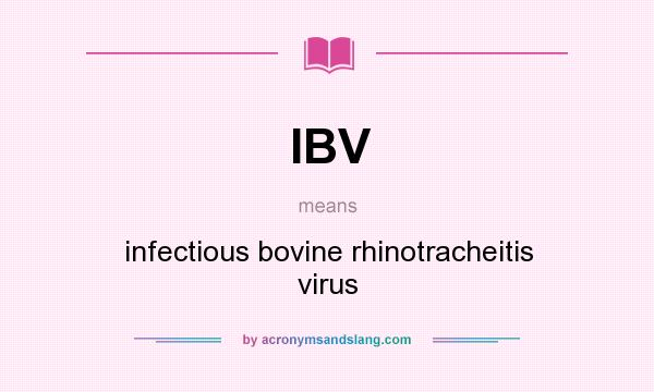 What does IBV mean? It stands for infectious bovine rhinotracheitis virus