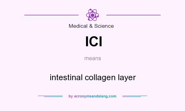 What does ICl mean? It stands for intestinal collagen layer