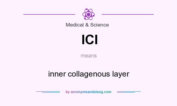 What does ICl mean? It stands for inner collagenous layer