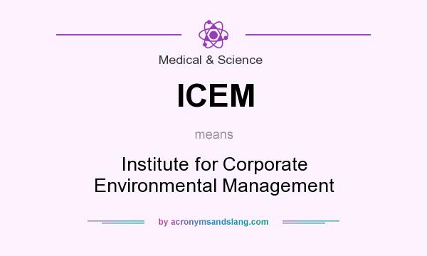 What does ICEM mean? It stands for Institute for Corporate Environmental Management