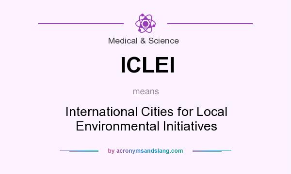 What does ICLEI mean? It stands for International Cities for Local Environmental Initiatives