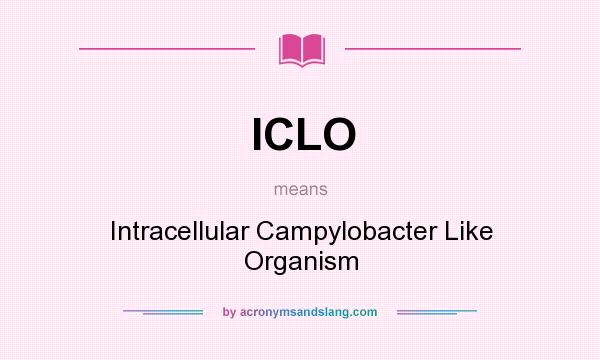 What does ICLO mean? It stands for Intracellular Campylobacter Like Organism