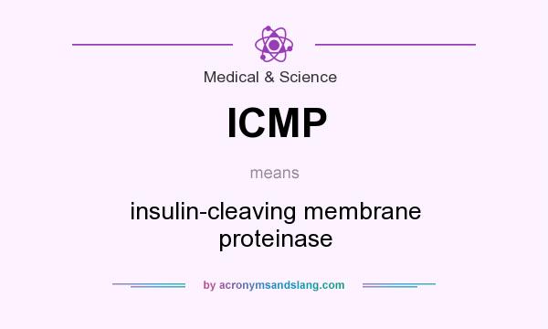 What does ICMP mean? It stands for insulin-cleaving membrane proteinase