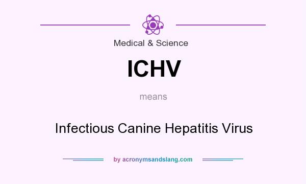 What does ICHV mean? It stands for Infectious Canine Hepatitis Virus
