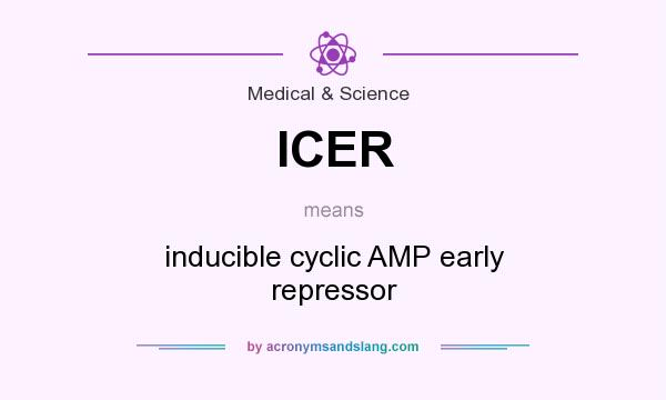 What does ICER mean? It stands for inducible cyclic AMP early repressor