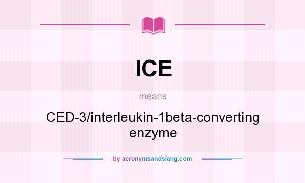 What does ICE mean? It stands for CED-3/interleukin-1beta-converting enzyme