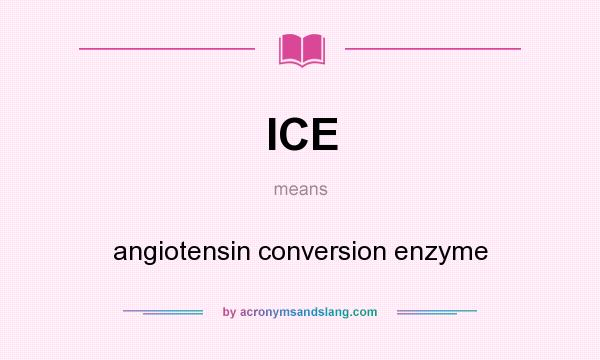 What does ICE mean? It stands for angiotensin conversion enzyme